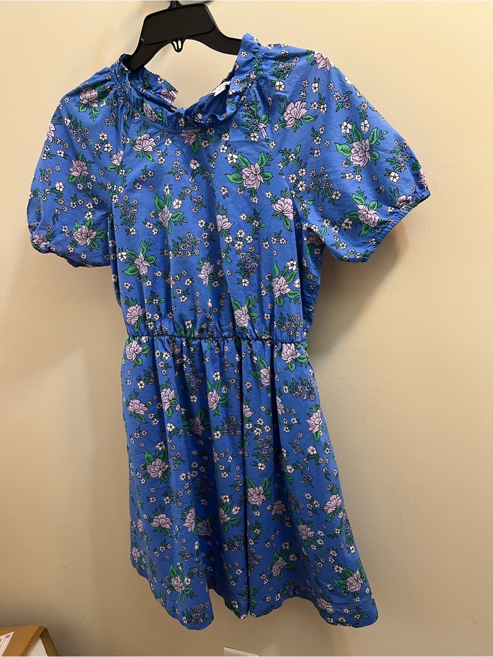 J. Crew Woman’s SZ 6 Blue Floral Ruffle-neck Trim Dress Bohemian Mini Dress